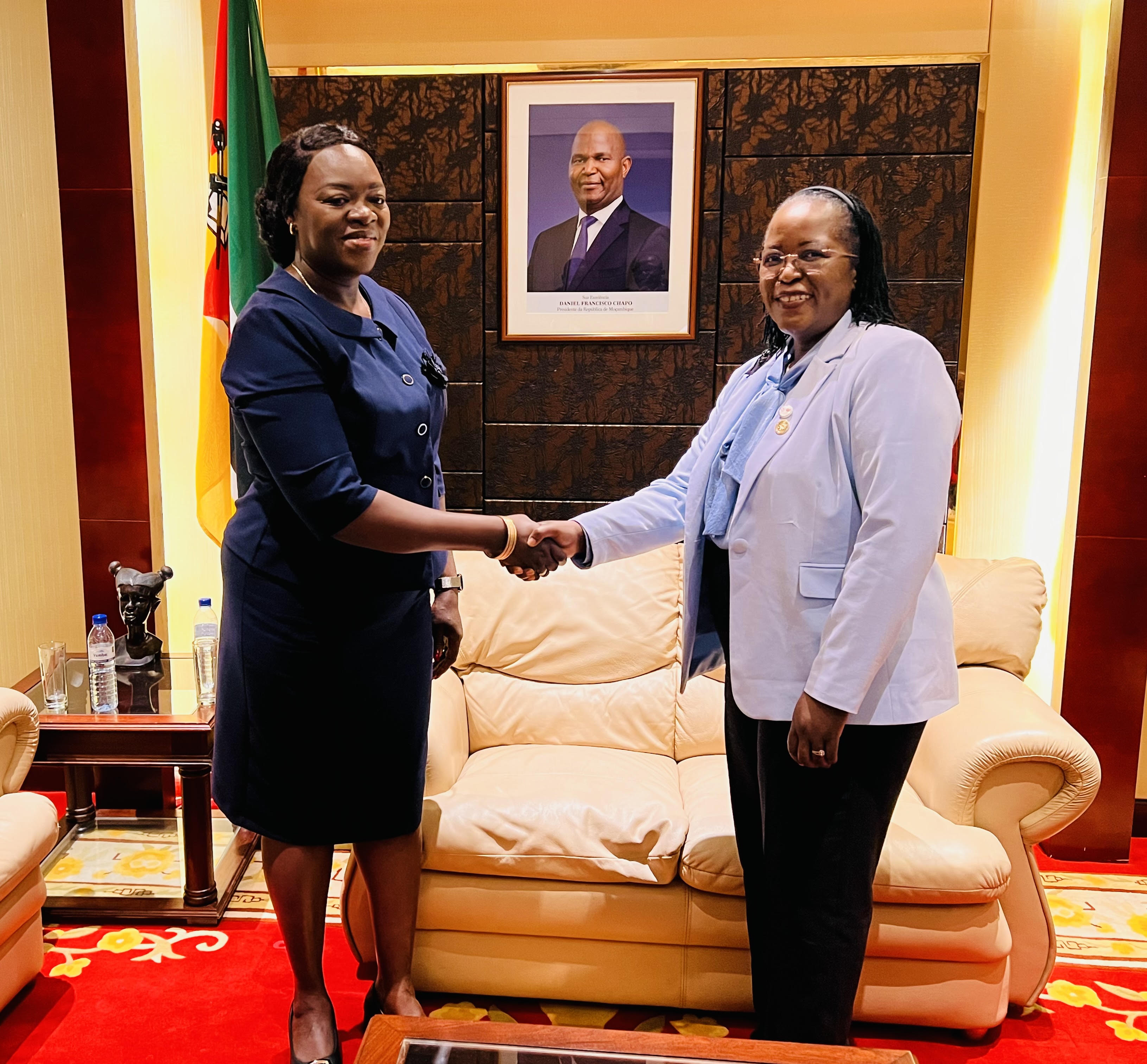 SADC Deputy Executive Secretary meets President of Mozambique National Institute for Disaster Risk Management and Reduction